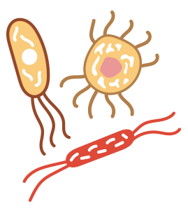 bacteria-robledo